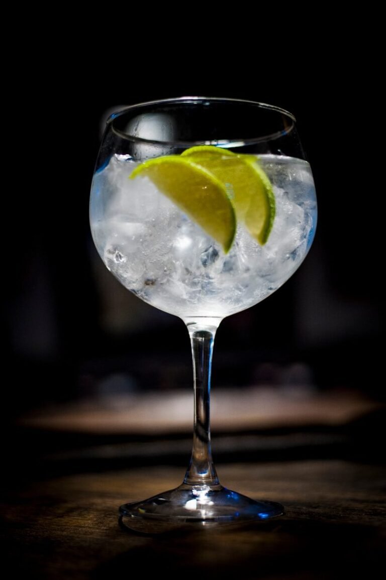 Gin Tonic